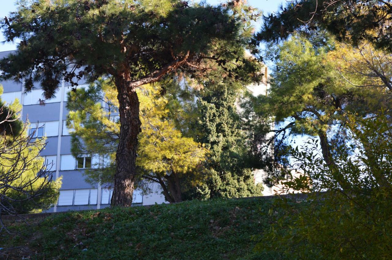 Ferienwohnung Studio Two Roses Split Exterior foto